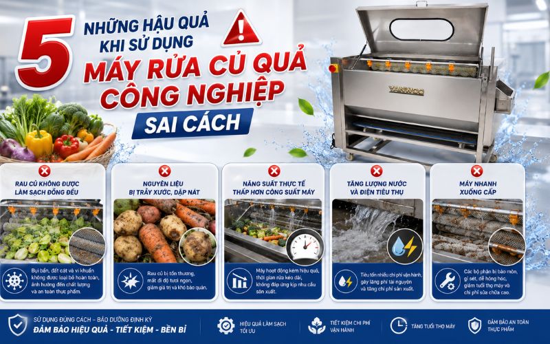 Những hậu quả khi sử dụng máy rửa củ quả công nghiệp sai cách