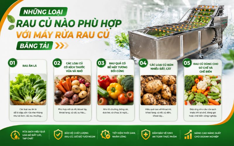 Những loại rau củ nào phù hợp với máy rửa rau củ băng tải
