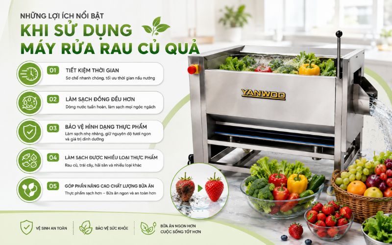 Những lợi ích nổi bật khi sử dụng máy rửa rau củ quả