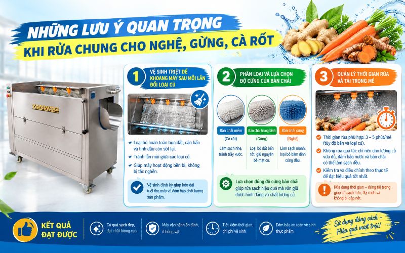 Những lưu ý quan trọng khi rửa chung cho nghệ, gừng, cà rốt