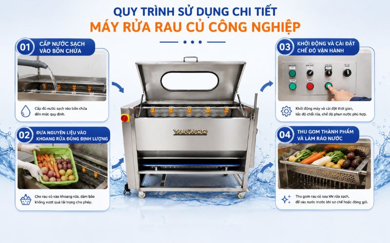 Quy trình sử dụng chi tiết máy rửa rau củ công nghiệp