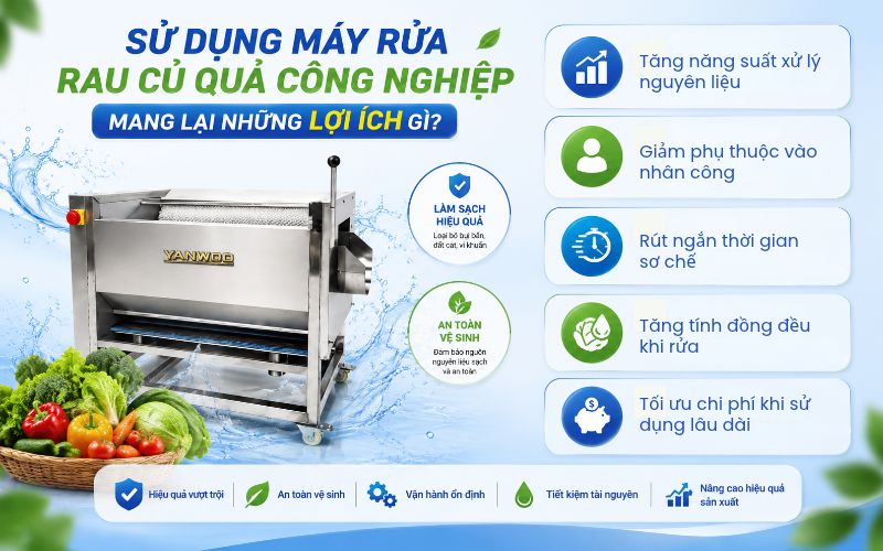Sử dụng máy rửa rau củ quả công nghiệp mang lại những lợi ích gì?