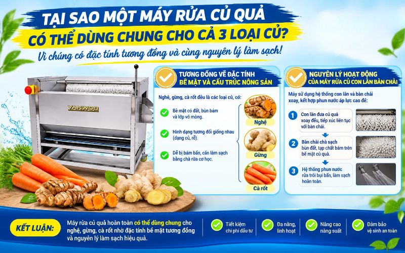Tại sao một máy rửa củ quả có thể dùng chung cho cả 3 loại củ?