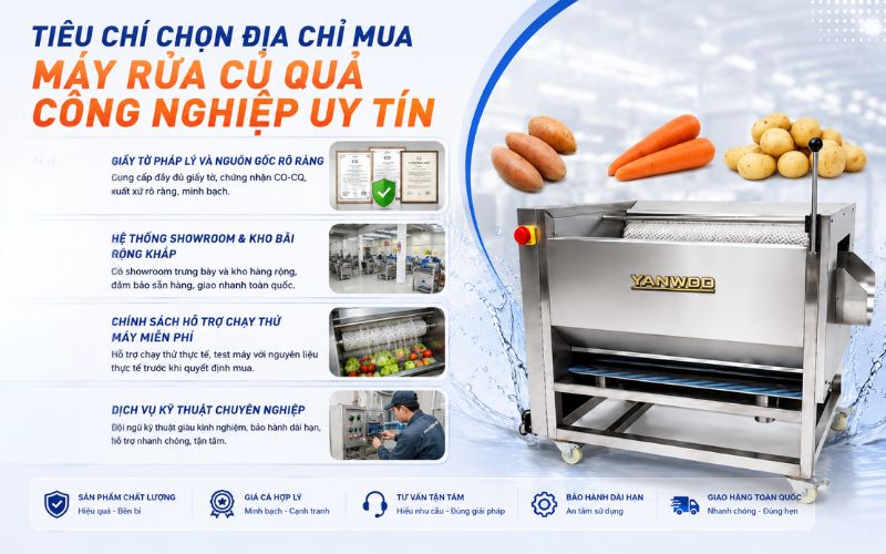 Tiêu chí chọn địa chỉ mua máy rửa củ quả công nghiệp uy tín