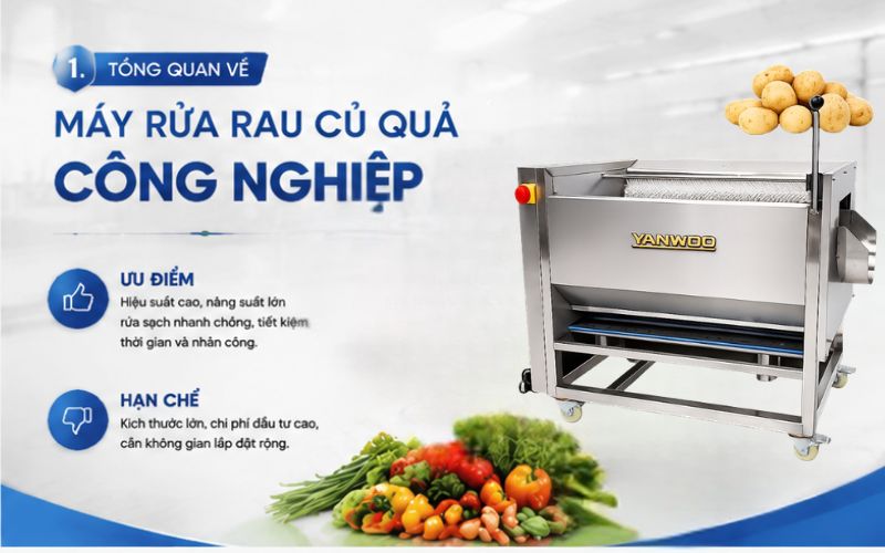 Tổng quan về máy rửa rau củ quả công nghiệp