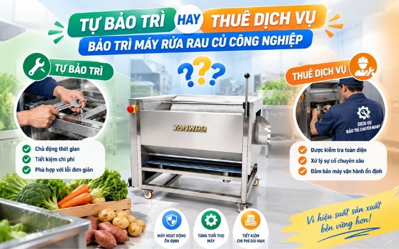 Tự bảo trì hay thuê dịch vụ bảo trì máy rửa rau củ công nghiệp