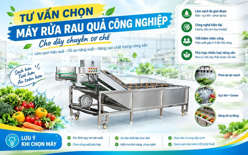 Tư vấn chọn máy rửa rau quả công nghiệp cho dây chuyền sơ chế