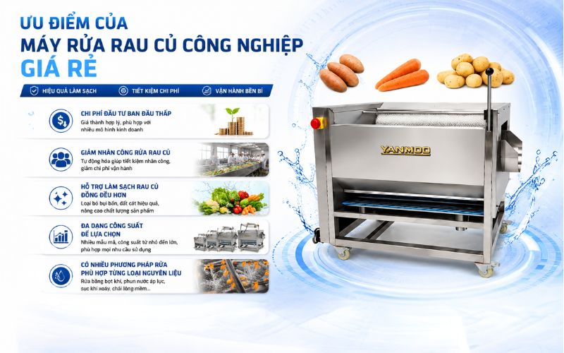 Ưu điểm của máy rửa rau củ công nghiệp giá rẻ