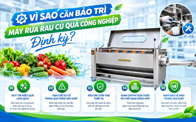Vì sao cần bảo trì máy rửa rau củ công nghiệp định kỳ?