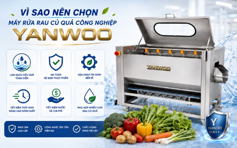 Vì sao nên chọn máy rửa rau củ quả công nghiệp Yanwoo?