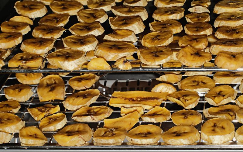 5 Lợi ích to lớn khi sử dụng máy sấy thực phẩm