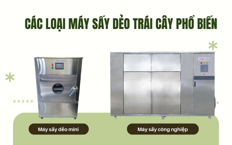 Các loại máy sấy dẻo trái cây phổ biến
