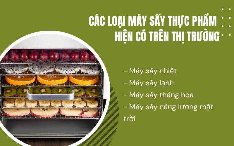 Các loại máy sấy thực phẩm hiện có trên thị trường