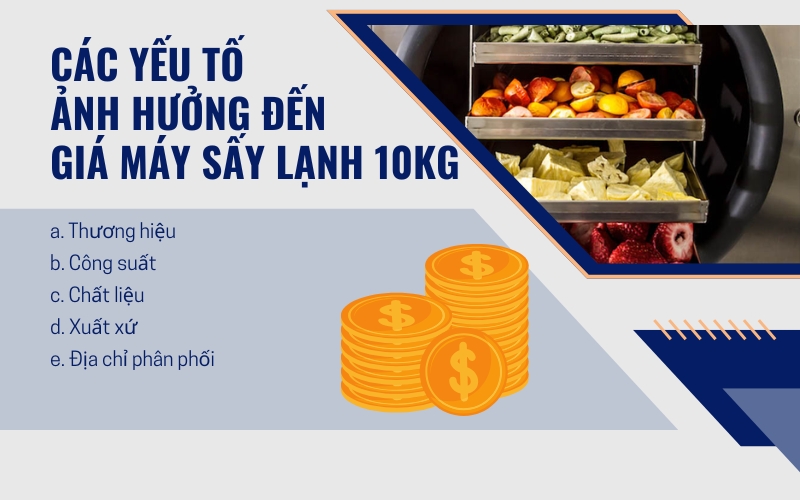 Máy sấy lạnh 10kg là gì?