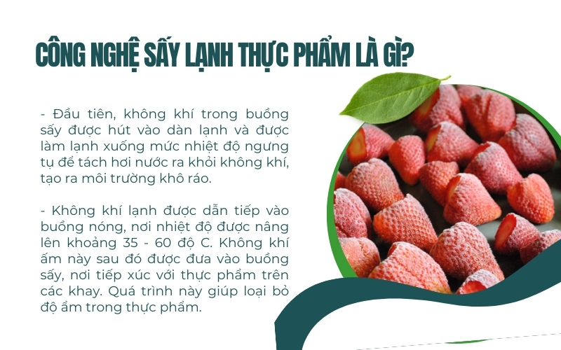 Công nghệ sấy lạnh thực phẩm là gì?