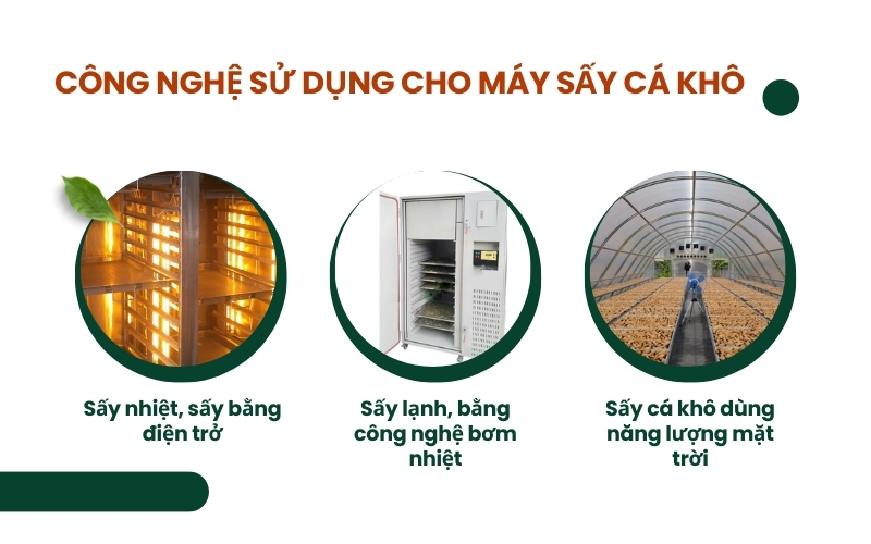 Công nghệ sử dụng cho máy sấy cá khô