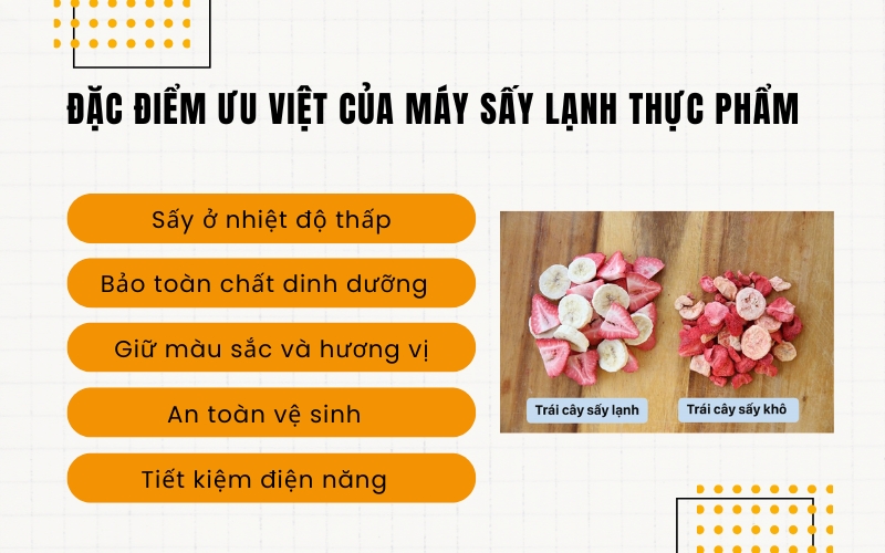 Đặc điểm ưu việt của máy sấy lạnh thực phẩm