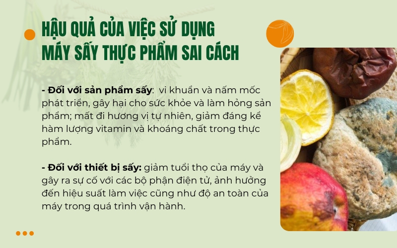 Hậu quả của việc sử dụng máy sấy thực phẩm sai cách