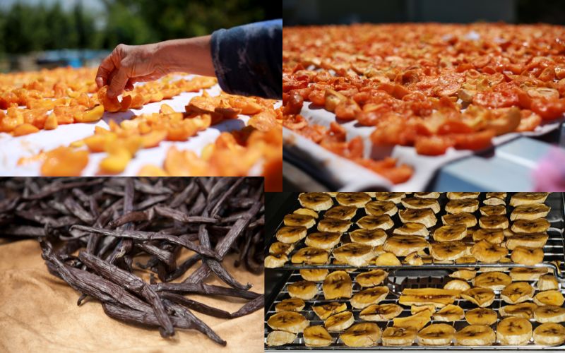 Hướng dẫn chọn máy sấy thực phẩm phù hợp cho gia đình