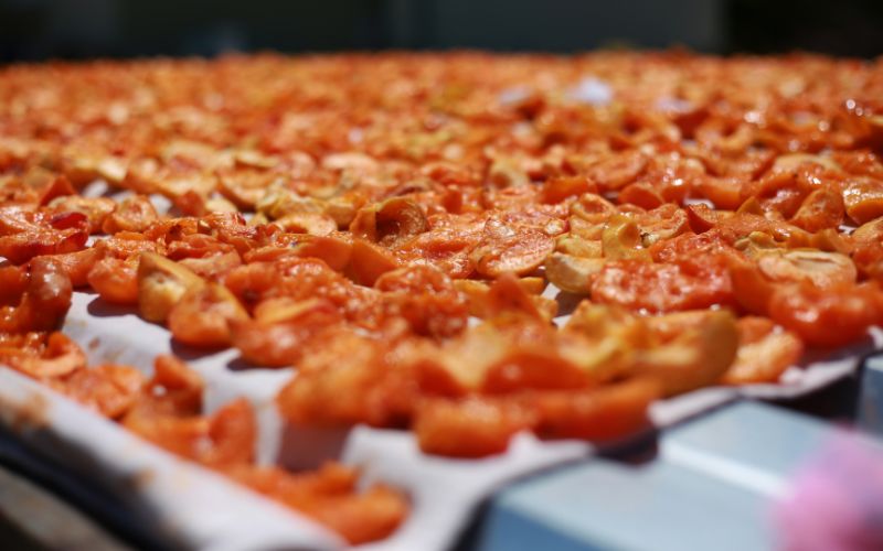 Hướng dẫn sử dụng máy sấy thực phẩm tiết kiệm cho gia đình