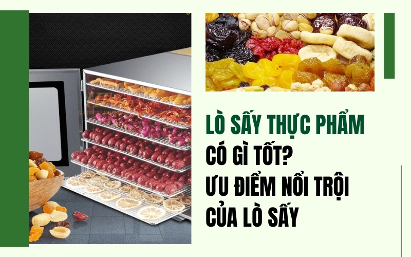 Lò sấy thực phẩm có gì tốt? Ưu điểm nổi trội của lò sấy