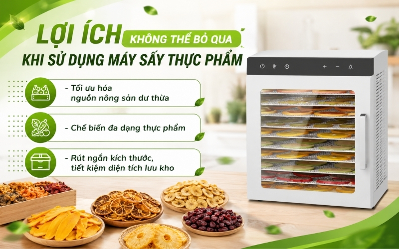 Lợi ích không thể bỏ qua khi sử dụng máy sấy thực phẩm