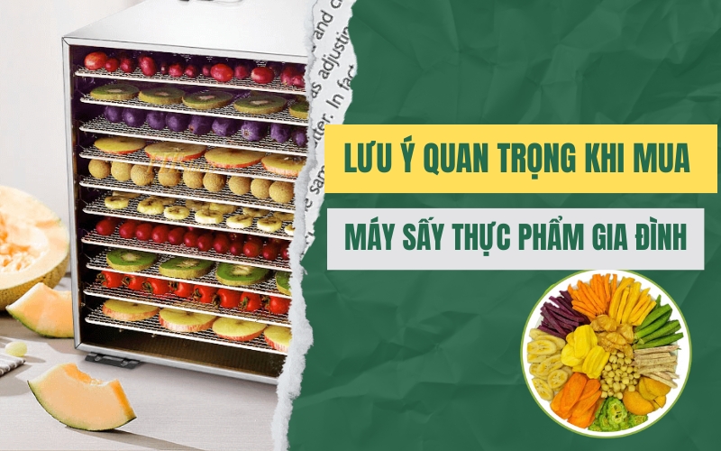 Lưu ý quan trọng khi mua máy sấy thực phẩm gia đình