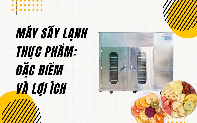 Máy Sấy Lạnh Thực Phẩm: Đặc điểm và lợi ích