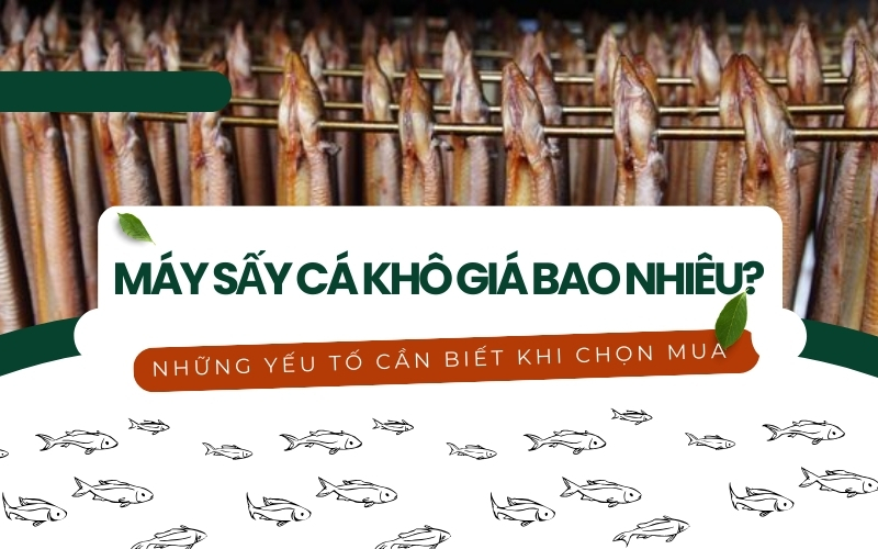 Máy sấy cá khô giá bao nhiêu? Những yếu tố cần biết khi chọn mua