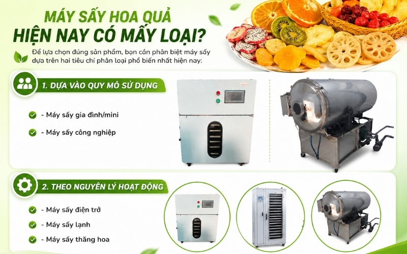 Máy sấy hoa quả hiện nay có mấy loại?