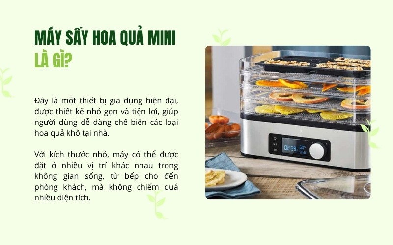 Máy sấy hoa quả mini là gì?