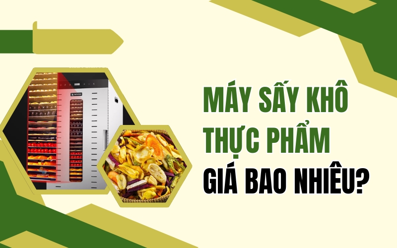 Máy sấy khô thực phẩm giá bao nhiêu?