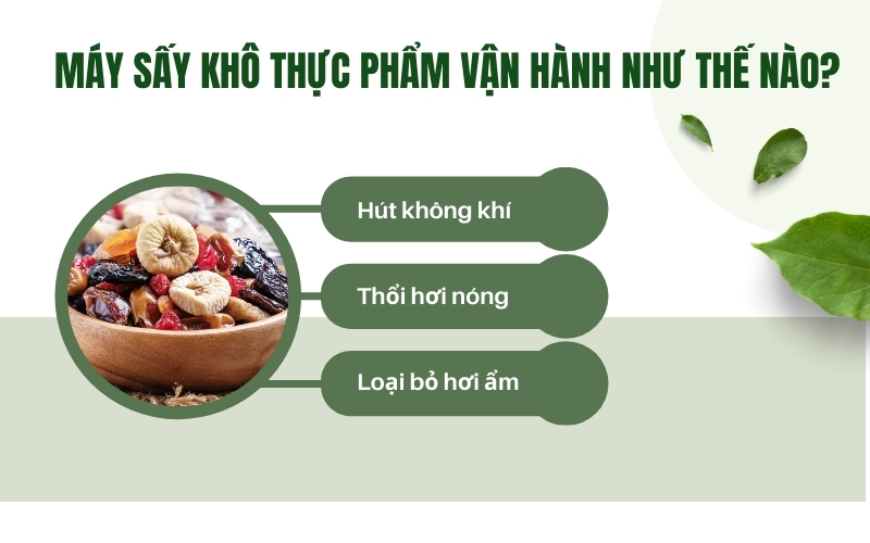 Máy sấy khô thực phẩm vận hành như thế nào?