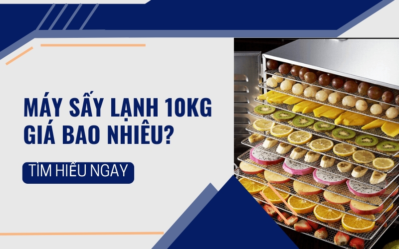 Máy sấy lạnh 10kg giá bao nhiêu? Tìm hiểu ngay