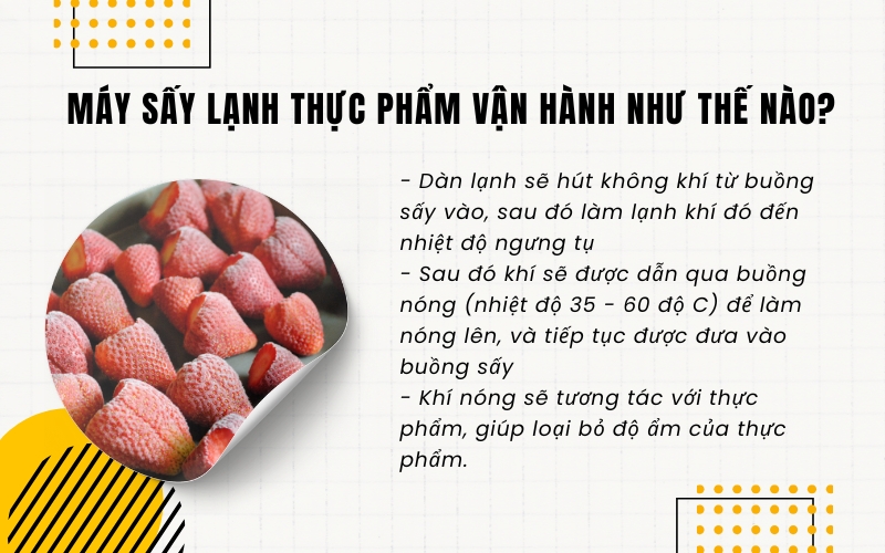 Máy sấy lạnh thực phẩm vận hành như thế nào?