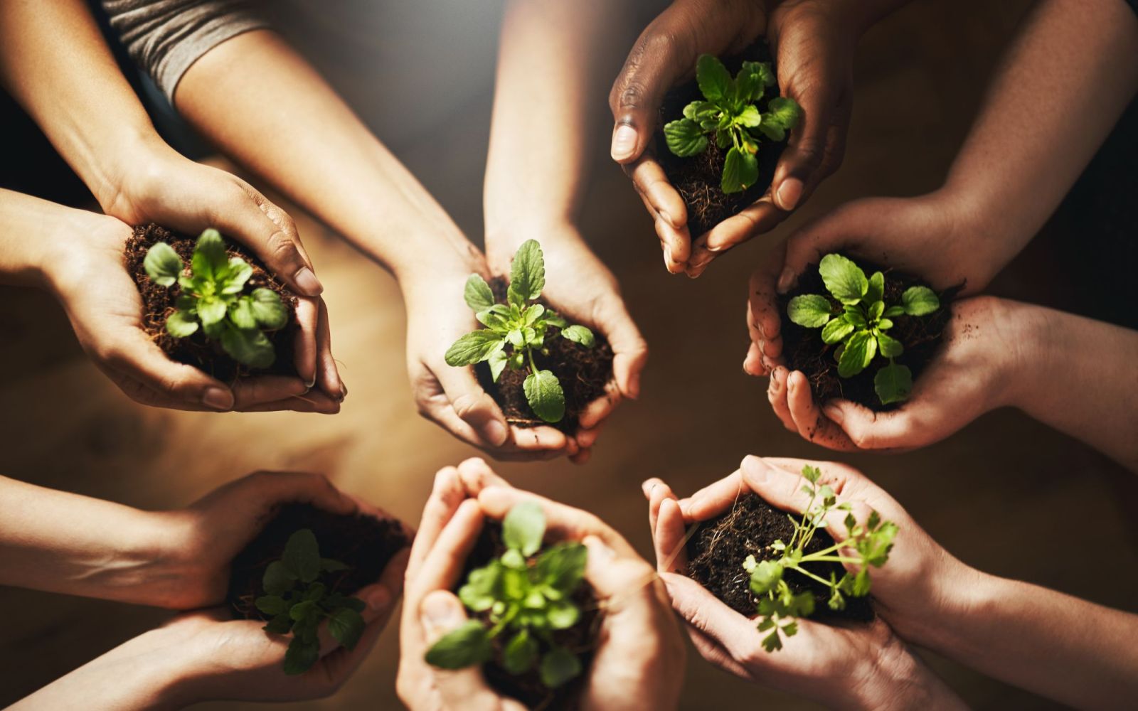 Máy sấy nông sản là gì