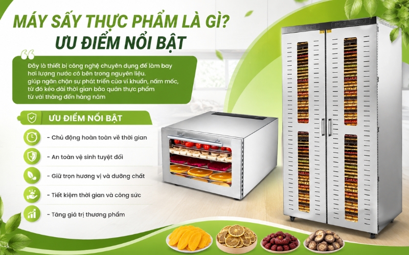 Máy sấy thực phẩm là gì? Ưu điểm nổi bật