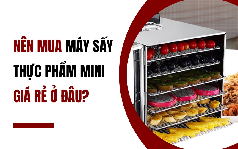 Nên mua máy sấy thực phẩm mini giá rẻ ở đâu?