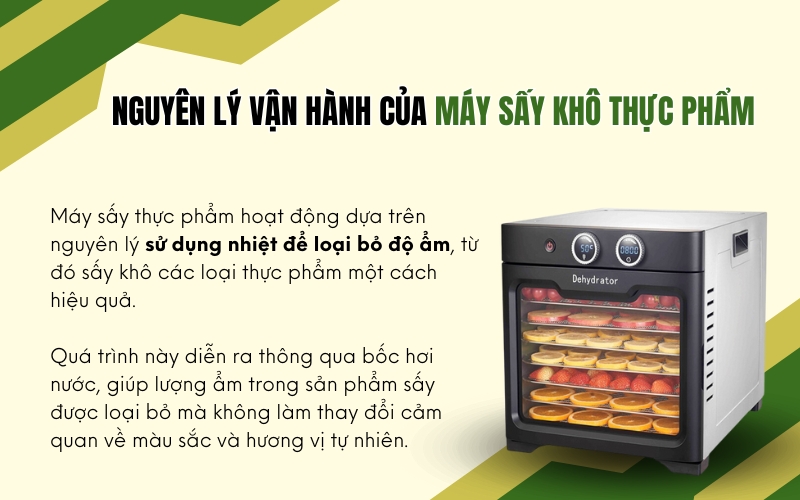 Nguyên lý vận hành của máy sấy khô thực phẩm
