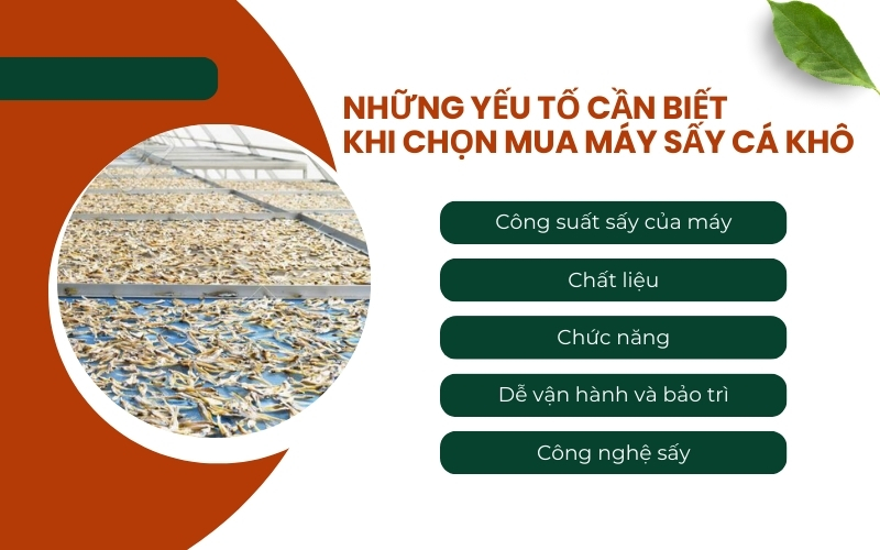Những yếu tố cần biết khi chọn mua máy sấy cá khô