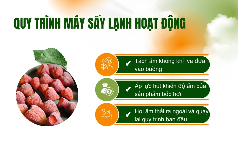 Quy trình máy sấy lạnh hoạt động