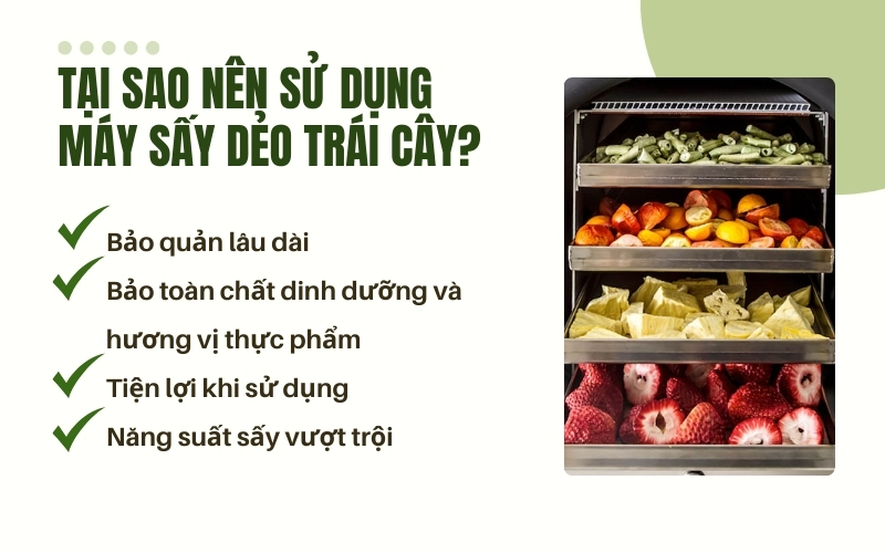 Tại sao nên sử dụng máy sấy dẻo trái cây?