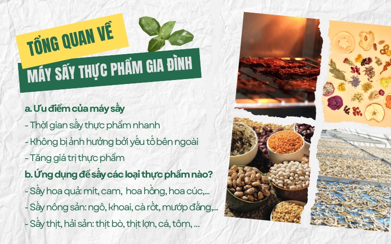 Tổng quan về máy sấy thực phẩm gia đình