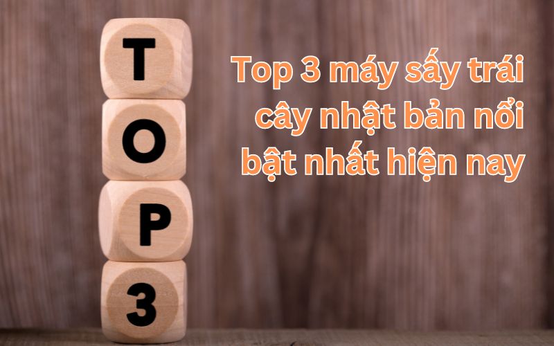 Top 3 máy sấy trái cây nhật bản nổi bật nhất hiện nay