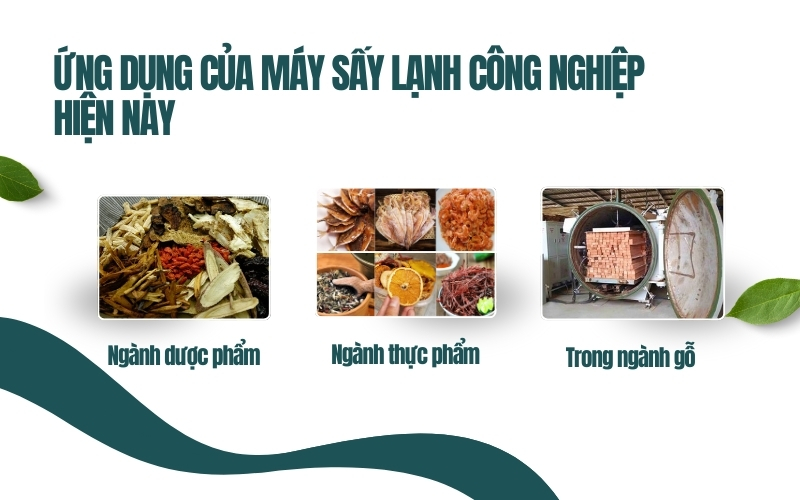 Ứng dụng của máy sấy lạnh công nghiệp hiện nay