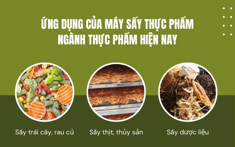 Ứng dụng của máy sấy thực phẩm ngành thực phẩm hiện nay