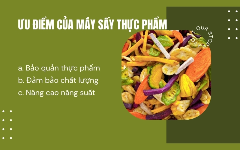 Ưu điểm của máy sấy thực phẩm