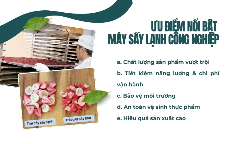 Ưu điểm nổi bật máy sấy lạnh công nghiệp
