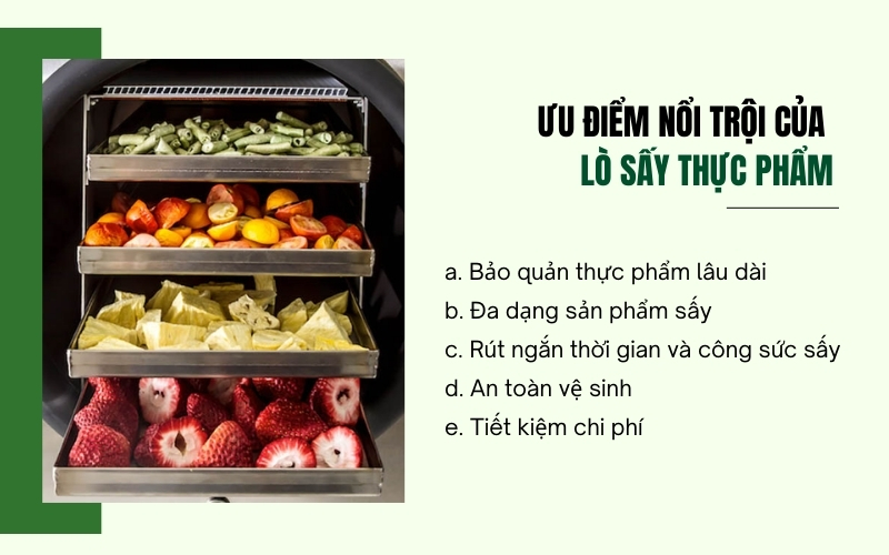Ưu điểm nổi trội của lò sấy thực phẩm