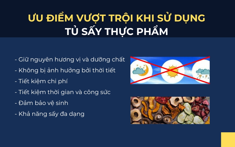 Ưu điểm vượt trội khi sử dụng tủ sấy thực phẩm